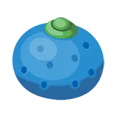 Oran Berry &times; 10